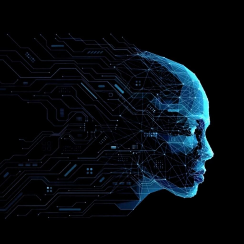 photo 2026 01 11 17 28 05